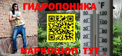 МДПВ Новодвинск
