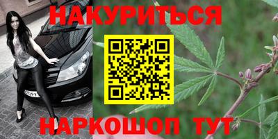 МДПВ Новодвинск