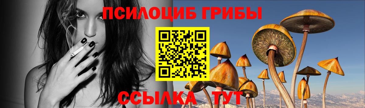 Псилоцибиновые грибы Magic Shrooms Чайковский